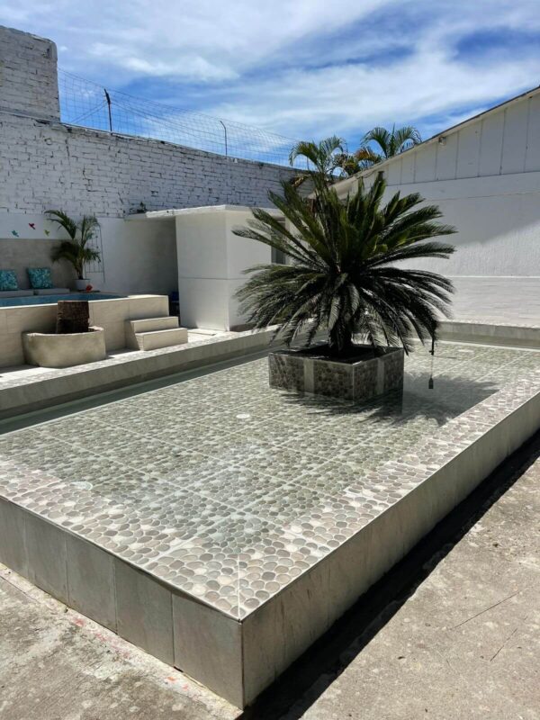 Casa Kalathea - Imagen 4