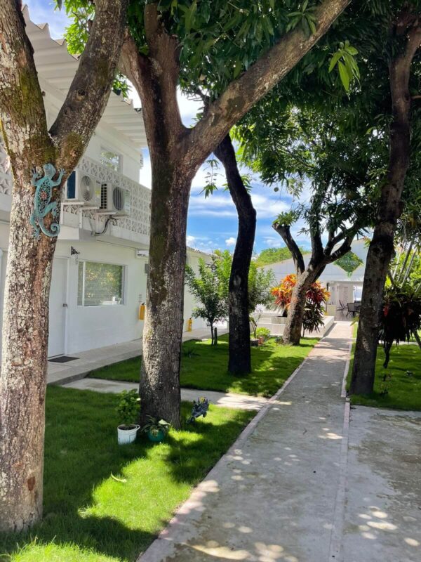 Casa Kalathea - Imagen 6
