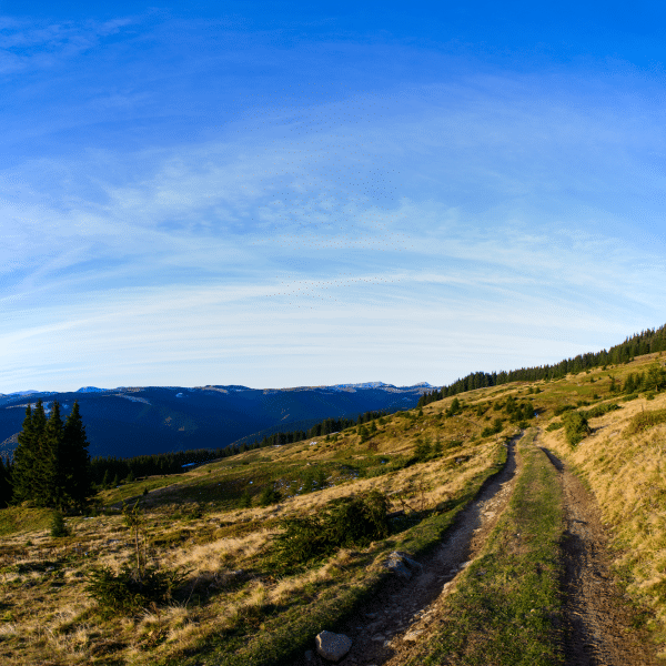 Caminata - Imagen 2